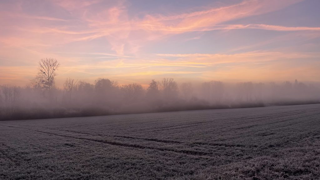 Premières lueurs de 2026 sur un champ givré.