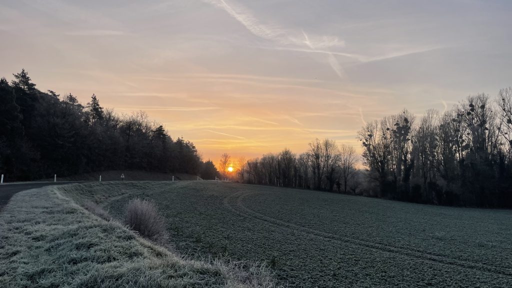 Le soleil se lève sur un route entre champs et forêt.